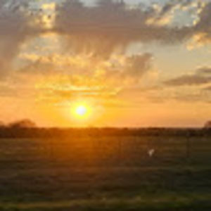 Meet your Posher, Marsha